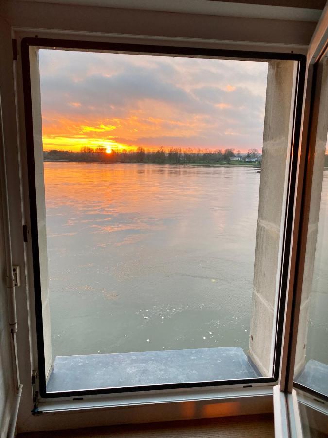 Gite Loirizon Vue Loire 4 Personnes Ingrandes  Dış mekan fotoğraf